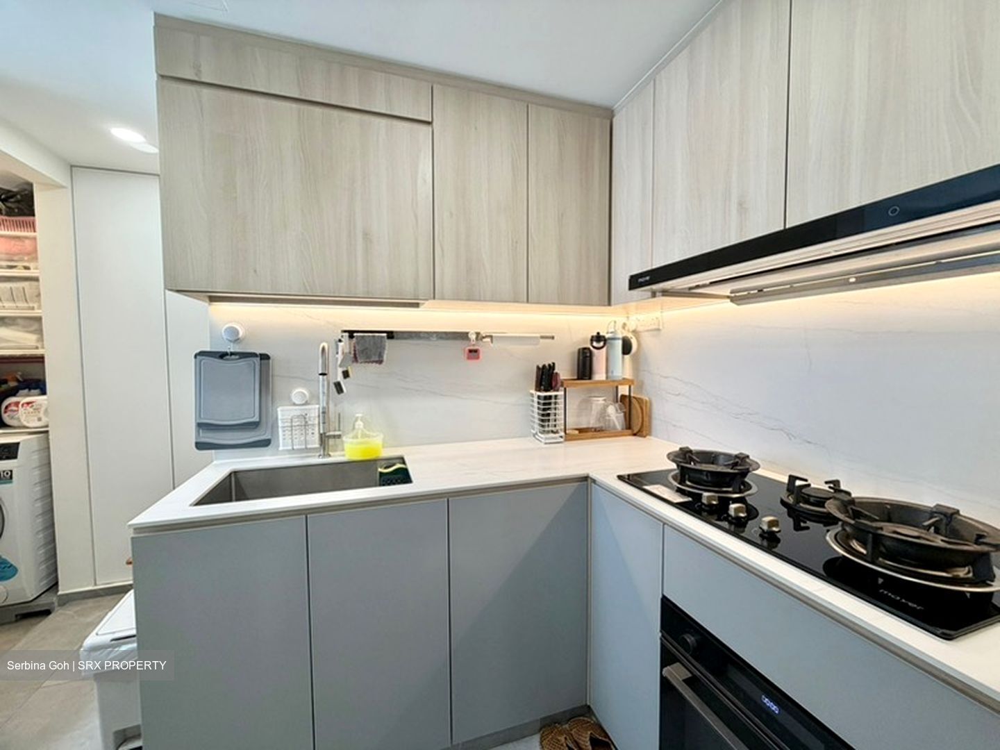 Ecopolitan (D19), Condominium #633769801